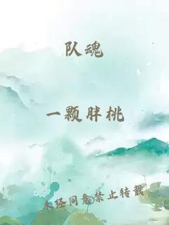 队魂