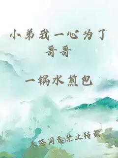 小弟我一心为了哥哥