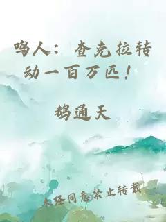 鸣人：查克拉转动一百万匹！