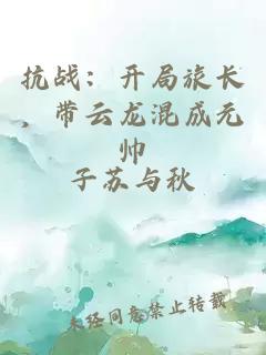 抗战：开局旅长，带云龙混成元帅