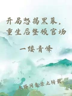 开局怒揭黑幕，重生后整顿官场