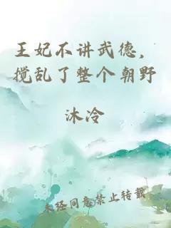 王妃不讲武德，搅乱了整个朝野