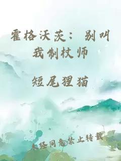 霍格沃茨：别叫我制杖师