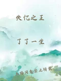 失忆之王