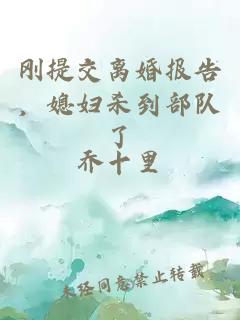 刚提交离婚报告，媳妇杀到部队了