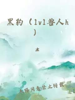 黑豹（1v1兽人h）
