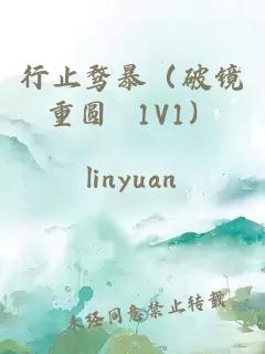 行止骛暴（破镜重圆 1V1）