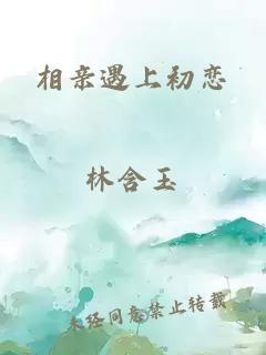 相亲遇上初恋