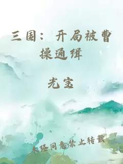 三国：开局被曹操通缉