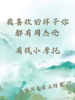 我喜欢的样子你都有周杰伦