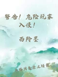 警告！危险玩家入侵！