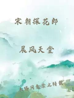 宋朝探花郎