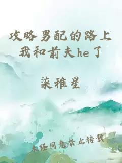 攻略男配的路上我和前夫he了