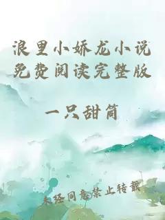 浪里小娇龙小说免费阅读完整版