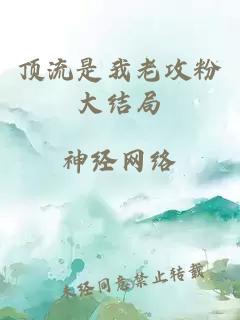 顶流是我老攻粉大结局