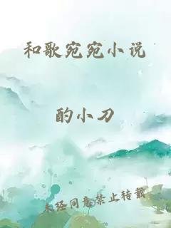 和歌宛宛小说
