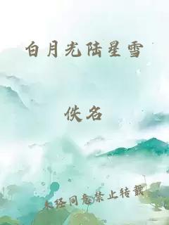 白月光陆星雪