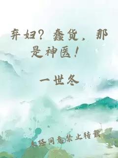 弃妇？蠢货，那是神医！