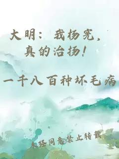 大明：我杨宪，真的治扬！