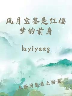 风月宝鉴是红楼梦的前身