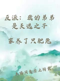 反派：我的弟弟是天选之子