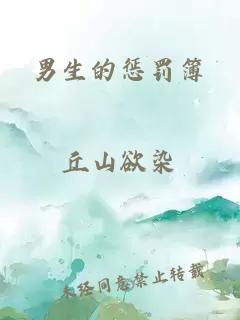 男生的惩罚簿