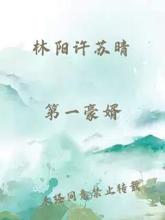 林阳许苏晴