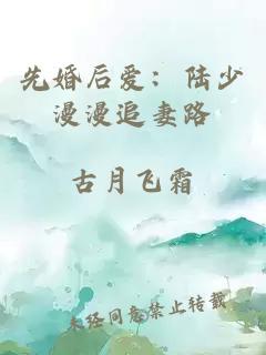 先婚后爱：陆少漫漫追妻路