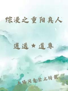 综漫之重阳真人