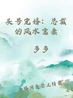 头号宠婚：总裁的风水宝妻
