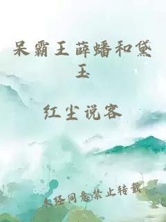 呆霸王薛蟠和黛玉