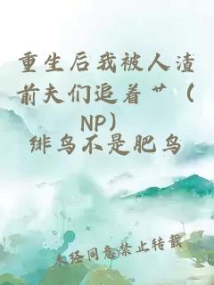重生后我被人渣前夫们追着艹（NP）