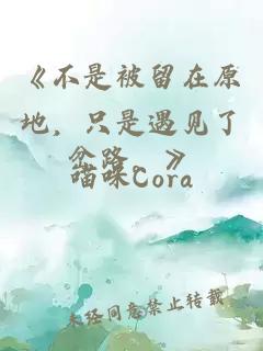 《不是被留在原地，只是遇见了岔路。》