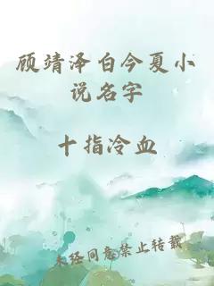 顾靖泽白今夏小说名字