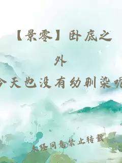 【景零】卧底之外